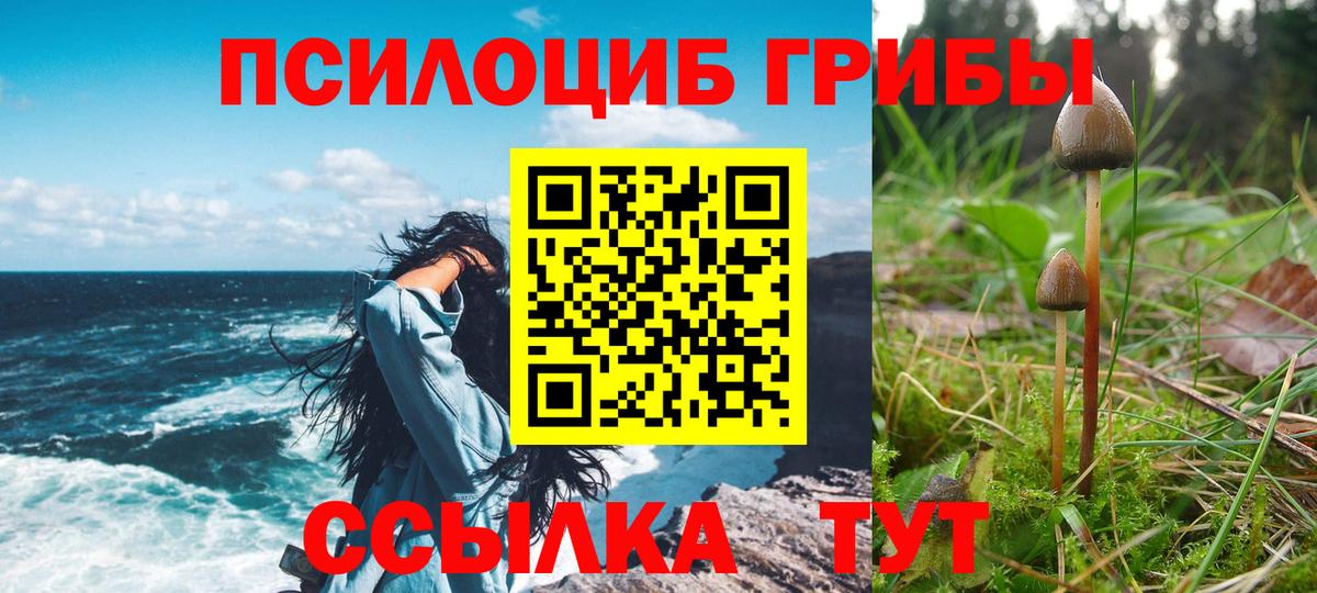 Псилоцибиновые грибы Cubensis  Псилоцибиновые грибы Magic Shrooms  Вход с VPN  Алексин 